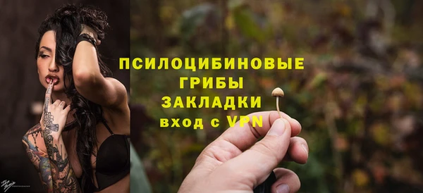 трава Снежинск