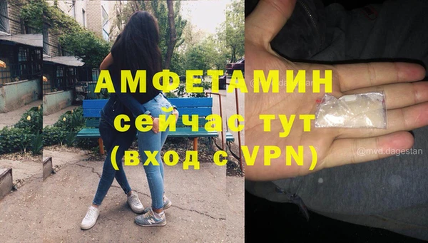 PSILOCYBIN Снежногорск