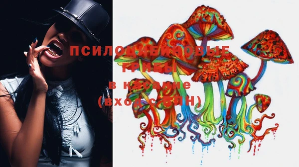 трава Снежинск