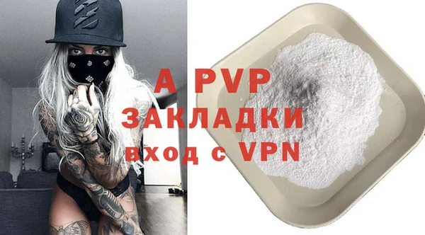 гидра Сосновый Бор