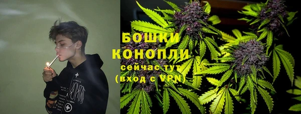 трава Снежинск