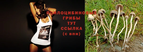 стафф Ивангород
