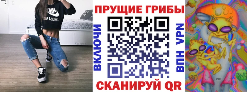 Купить где Кувшиново Псилоцибиновые грибы прущие грибы